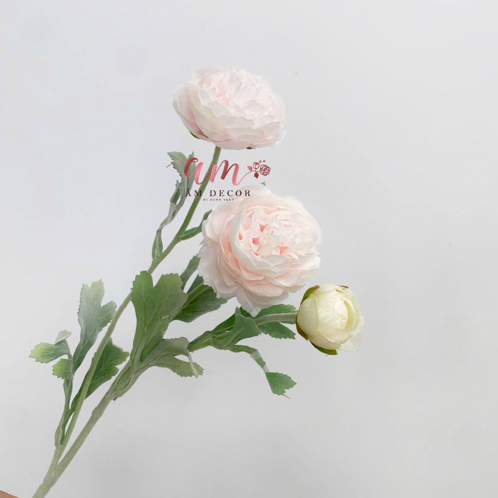 CÀNH HOA MẪU ĐƠN BÚP (Hồng)