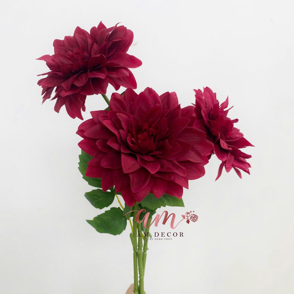 THƯỢC DƯỢC LỤA ẨM BÔNG LỚN ĐỎ
