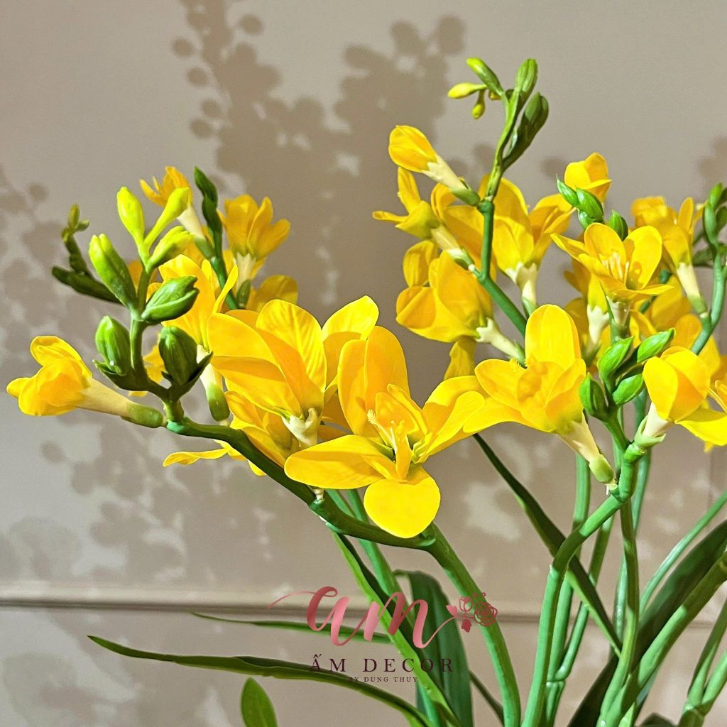 BÌNH HOA AURELIA GOLD