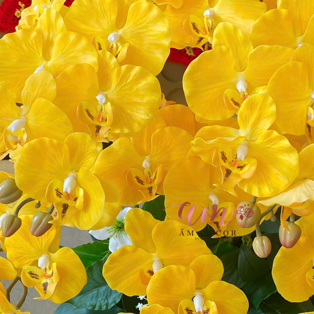 BÌNH HOA ALIGHT LEMONADE ORCHID