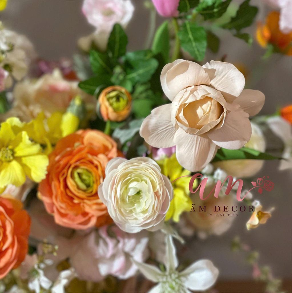 BÌNH HOA AMBROSIA PRESTIGE