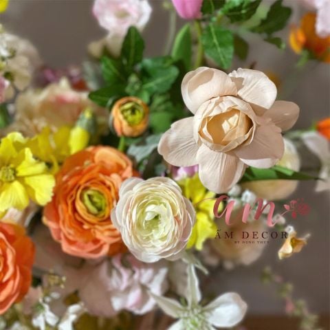  BÌNH HOA AMBROSIA PRESTIGE 