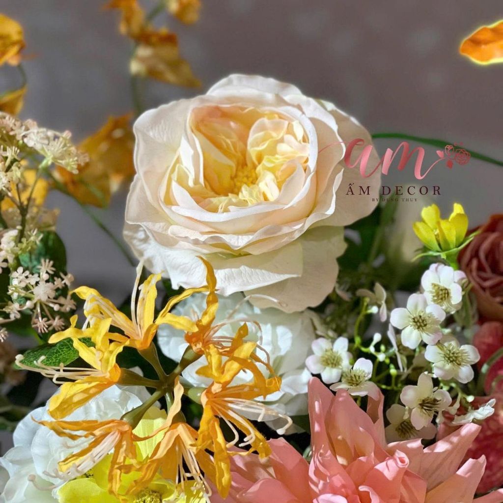 BÌNH HOA AURÉLIEN MAJESTÉ