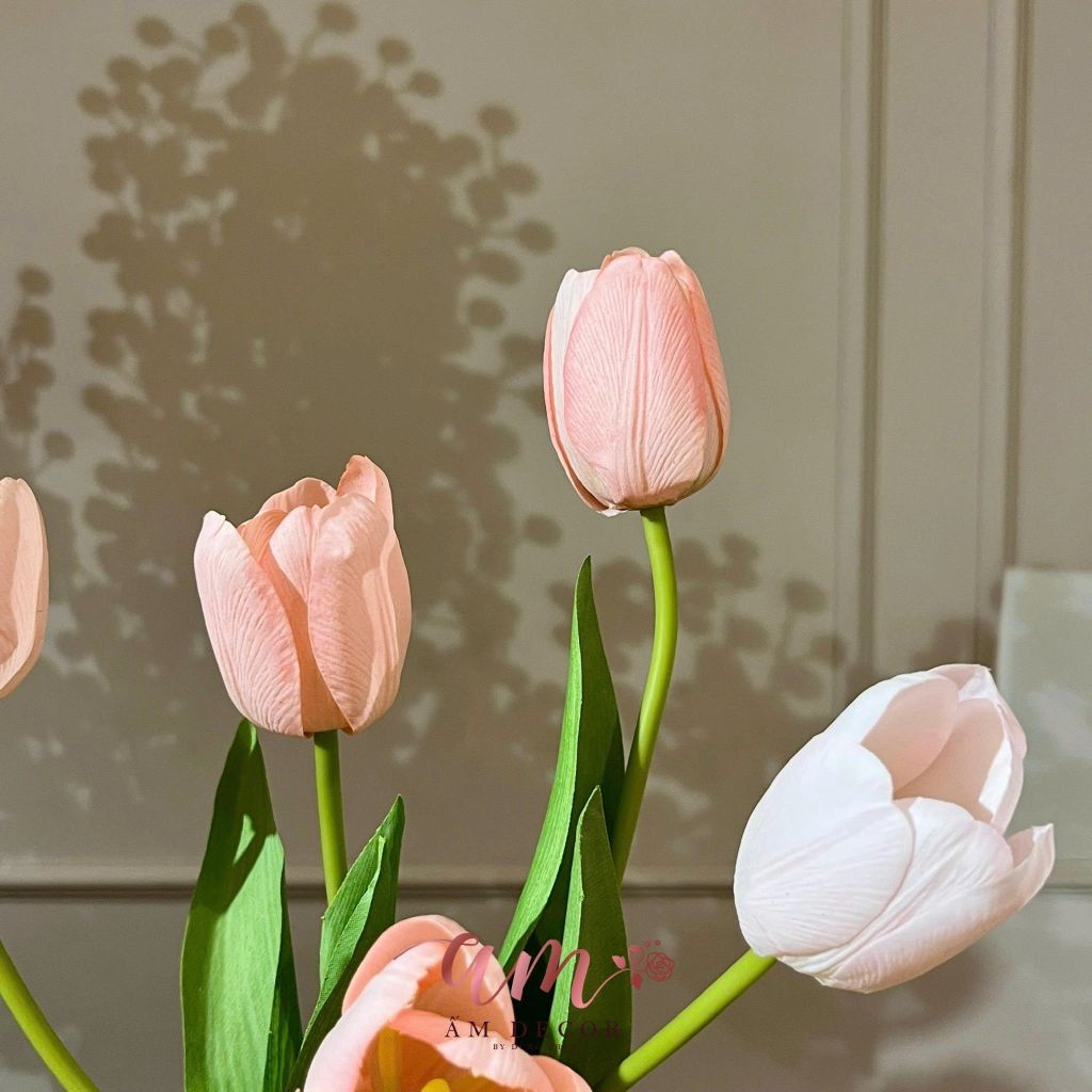 ZBÌNH HOA TULIP AMÉLIE