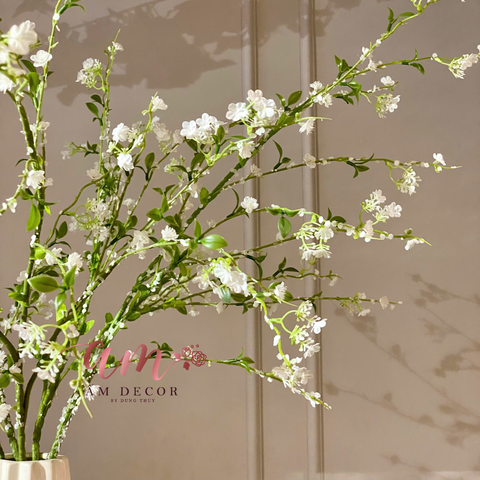  BÌNH HOA AMARIS SNOW WHITE 