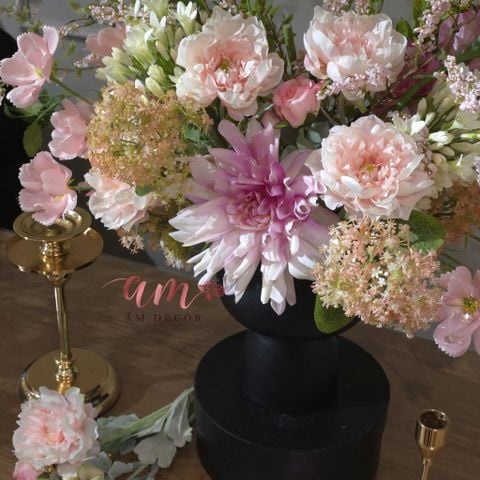  BÌNH HOA ANLUNARIA IRIS 