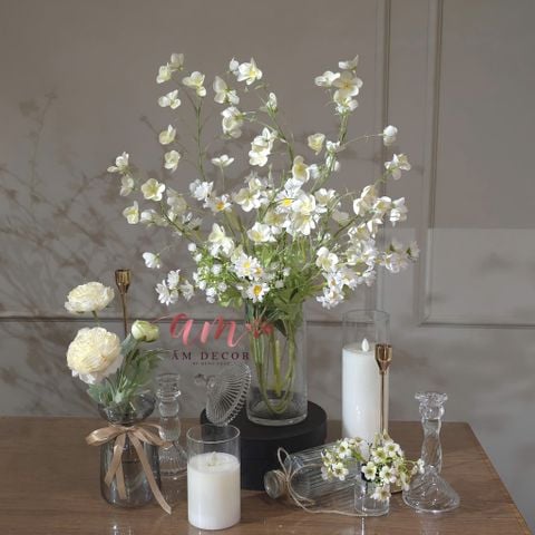  BÌNH HOA ANARA GRACE 