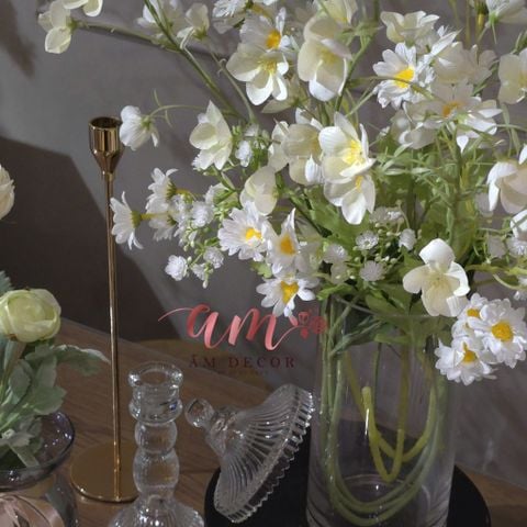  BÌNH HOA ANARA GRACE 