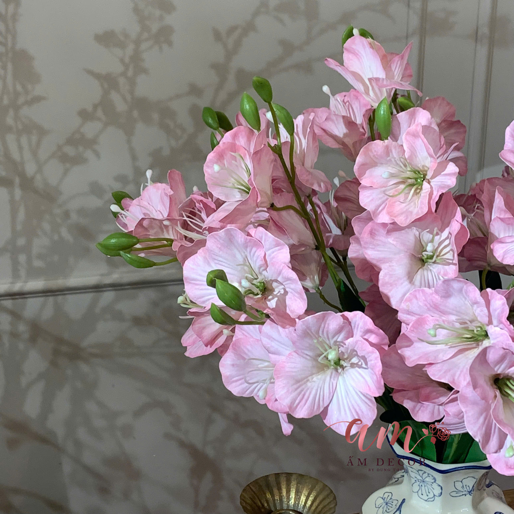 ZBÌNH HOA BLUSH LAYON FLORAL