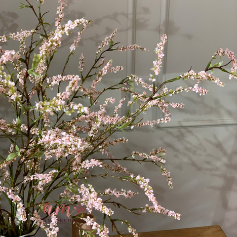  BÌNH HOA ARISTOCRAT LOVELY 