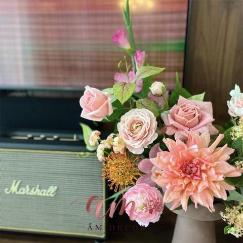  BÌNH HOA ASTRA BLOSSOM 