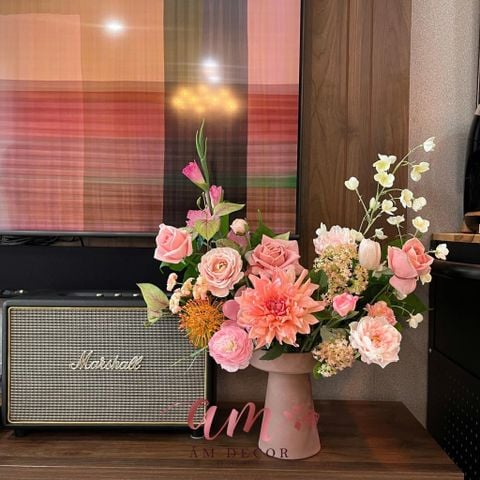  BÌNH HOA ASTRA BLOSSOM 