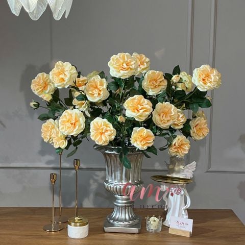  BÌNH HOA GOLDEN HARMONY 