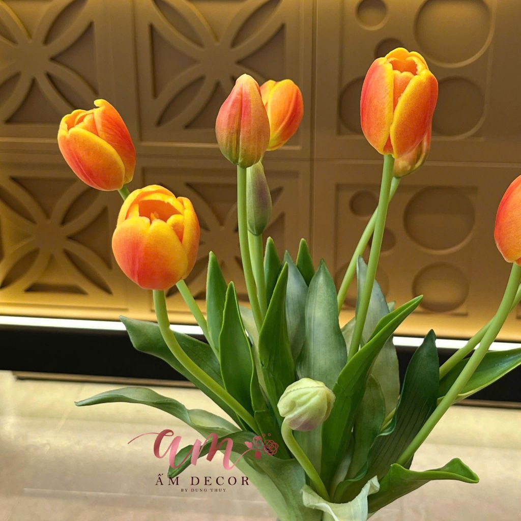 ZBÌNH HOA TULIP HOME BLOOMS