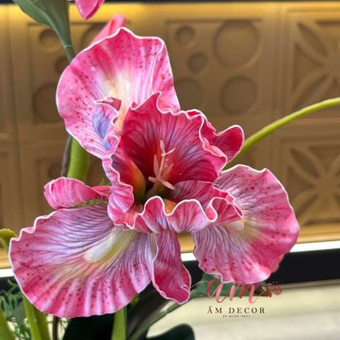  BÌNH HOA IRIS NATURAL DECOR 
