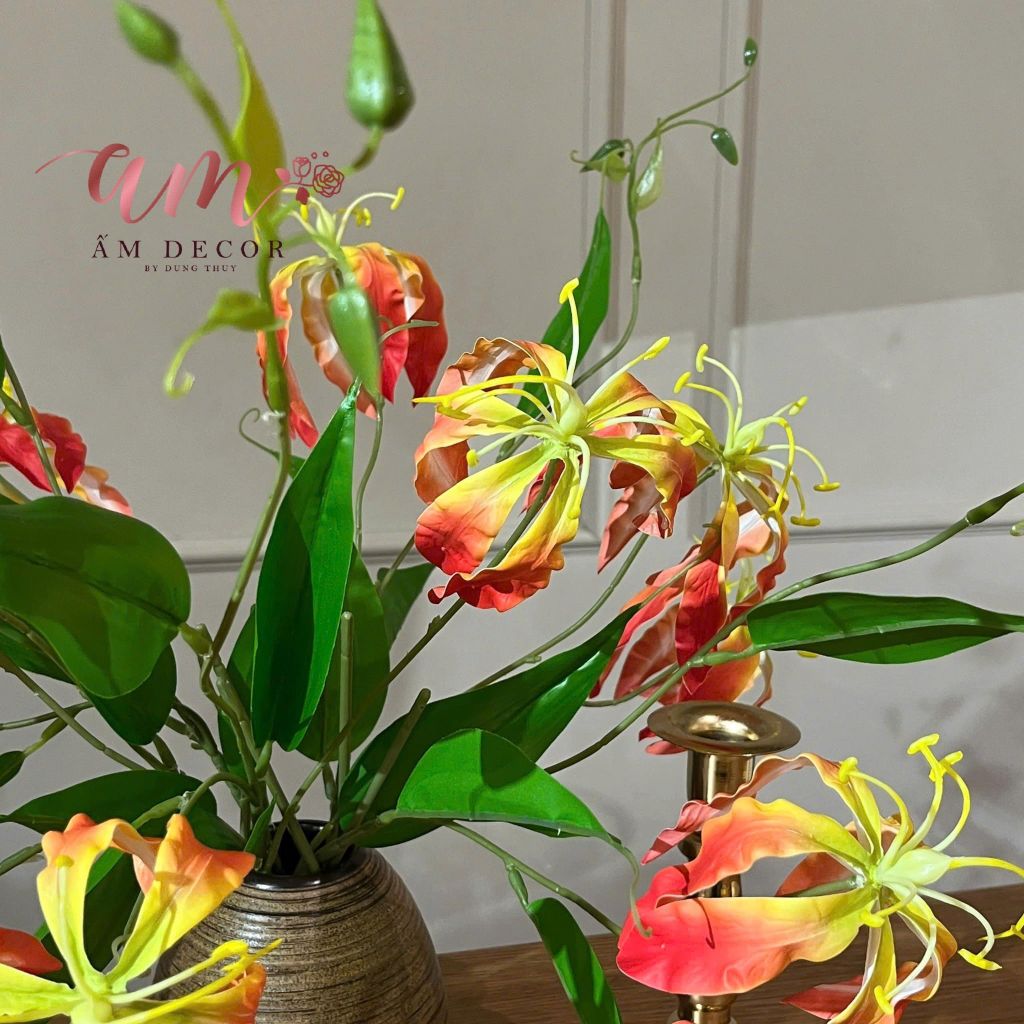 ZBÌNH HOA BRIGHT CONTEMPORARY