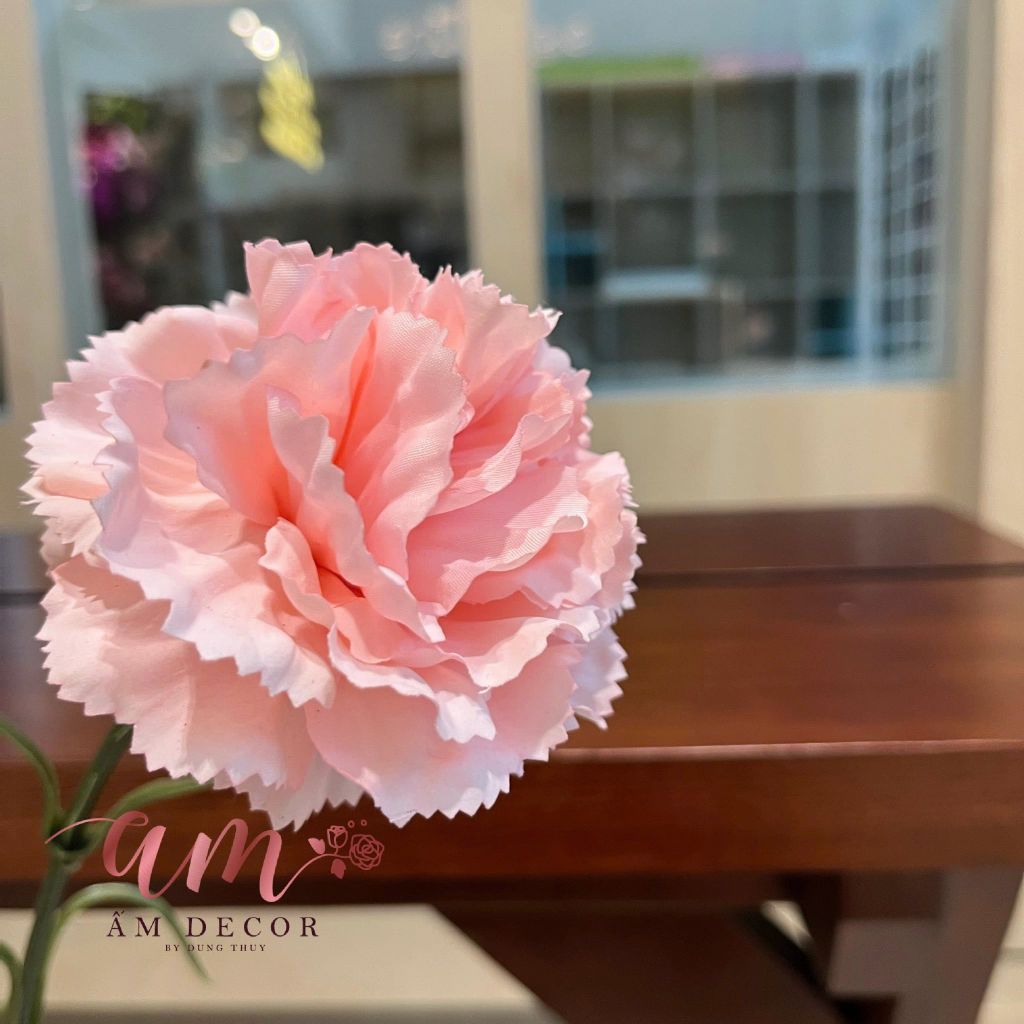 CẨM CHƯỚNG LỤA DƯỠNG ẨM (Hồng Cam)