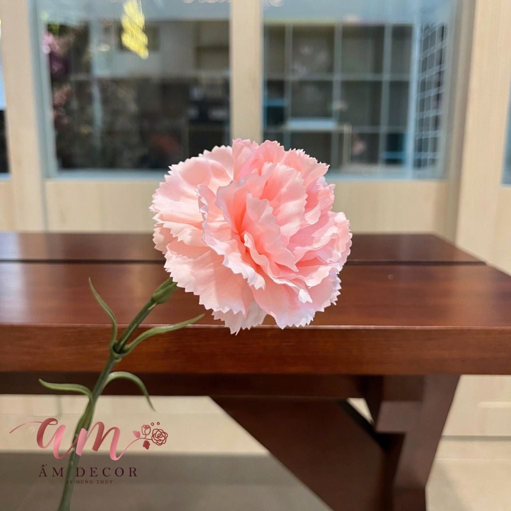 CẨM CHƯỚNG LỤA DƯỠNG ẨM (Hồng Cam)