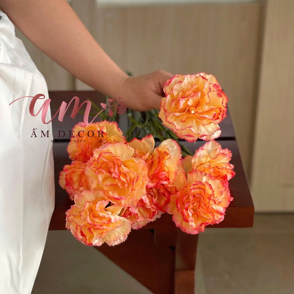 CẨM CHƯỚNG LỤA DƯỠNG ẨM (Cam Cà Rốt)