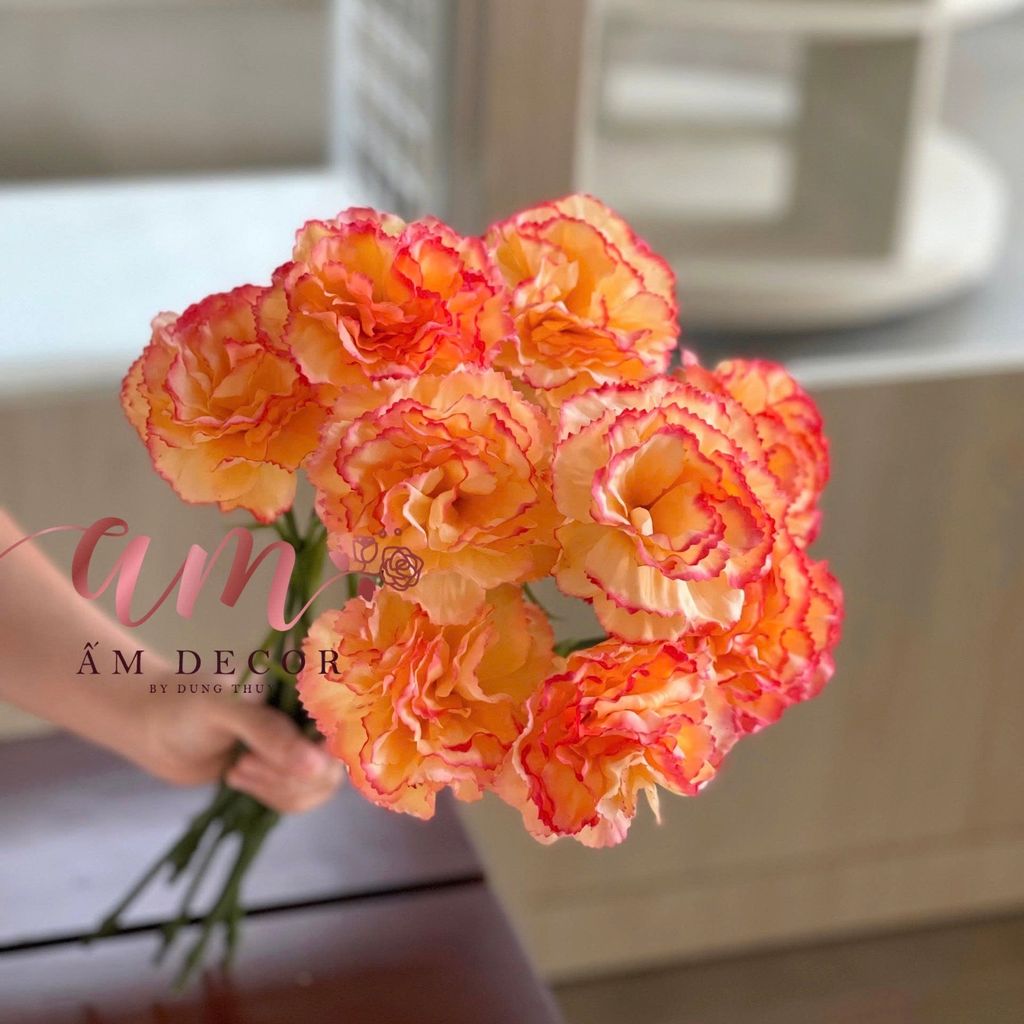 CẨM CHƯỚNG LỤA DƯỠNG ẨM (Cam Cà Rốt)