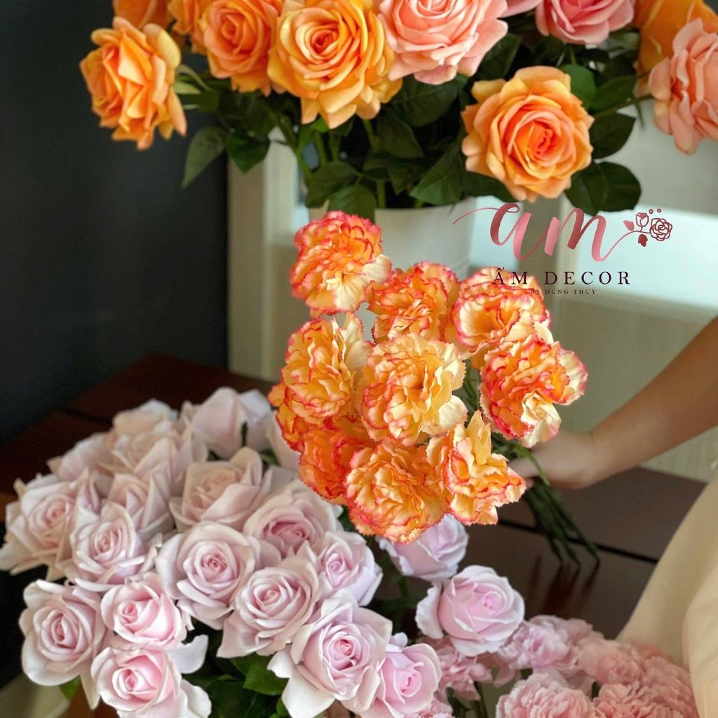 CẨM CHƯỚNG LỤA DƯỠNG ẨM (Cam Cà Rốt)