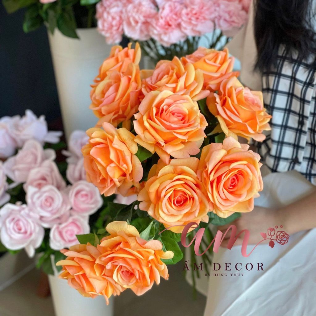 HOA HỒNG NỞ DƯỠNG ẨM (Cam Cà Rốt)