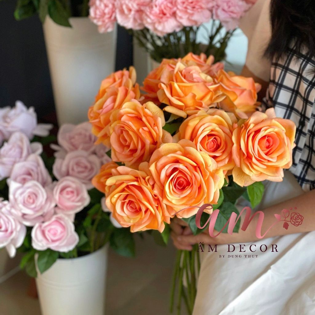 HOA HỒNG NỞ DƯỠNG ẨM (Cam Cà Rốt)