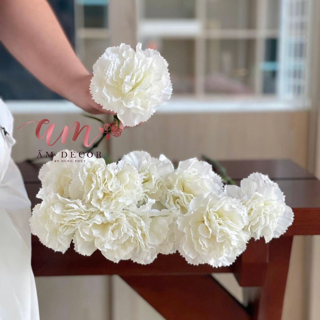 CẨM CHƯỚNG LỤA DƯỠNG ẨM (Trắng)