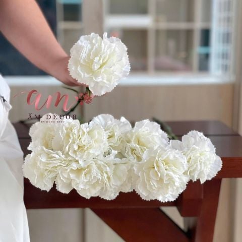  CẨM CHƯỚNG LỤA DƯỠNG ẨM (Trắng) 