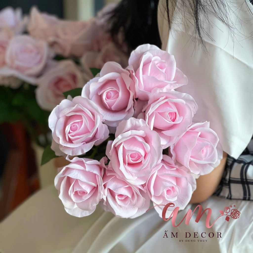 HOA HỒNG MOONROSE (Hồng Phấn)