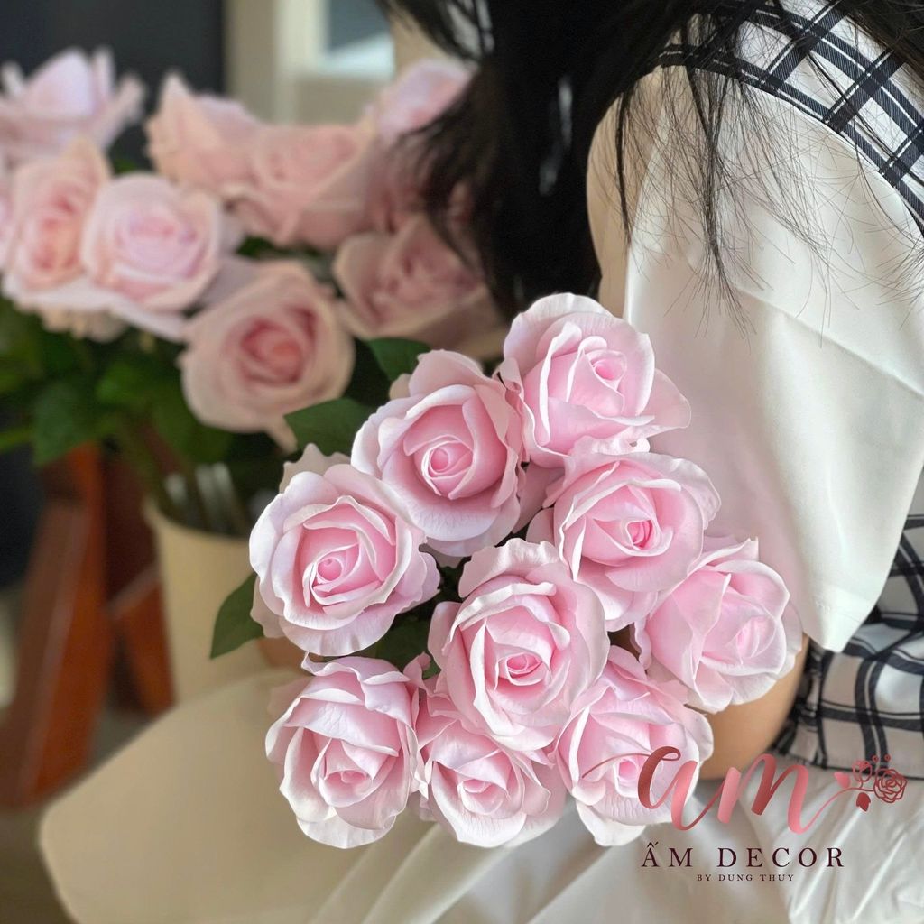 HOA HỒNG MOONROSE (Hồng Phấn)