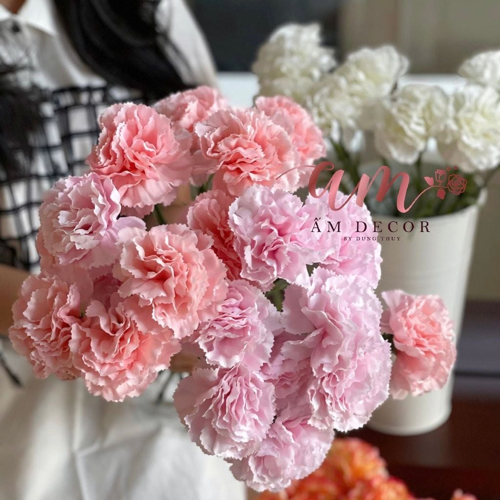 CẨM CHƯỚNG LỤA DƯỠNG ẨM (Hồng Cam)