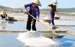 Muối Hột Đề Gi (1kg)