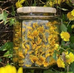 Trà Hoa Cúc Giống Cổ (25gr)