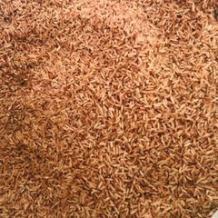 Gạo Xát Dối Đỏ (1kg)