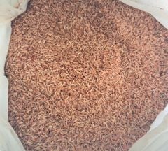Gạo Xát Dối Đỏ (1kg)