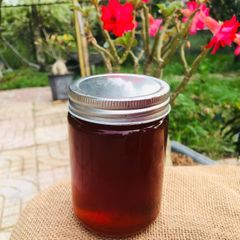 Mật Ong Hoa Mật Gấu Nguyên Chất (1 lít)