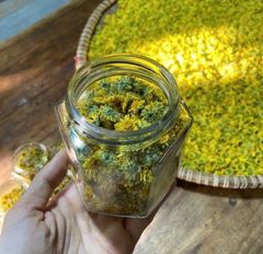 Trà Hoa Cúc Giống Cổ (25gr)