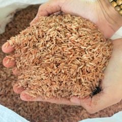 Gạo Xát Dối Đỏ (1kg)