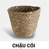 Chậu cói tự nhiên đựng cây cảnh, đồ dùng decor nhà cửa, GREEN CRAFT nhiều size