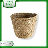 Chậu cói tự nhiên đựng cây cảnh, đồ dùng decor nhà cửa, GREEN CRAFT nhiều size