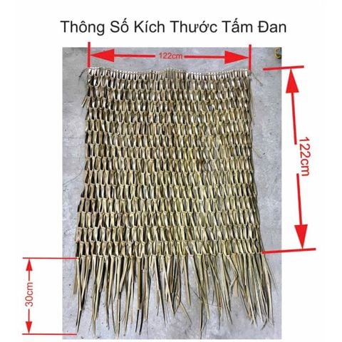 Tấm Lá Đan  – Giải Pháp Trang Trí Thiên Nhiên, Bền Vững