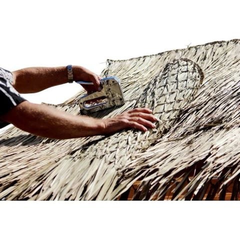 Tấm Lá Đan  – Giải Pháp Trang Trí Thiên Nhiên, Bền Vững