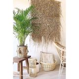 Tấm Lá Đan  – Giải Pháp Trang Trí Thiên Nhiên, Bền Vững