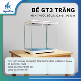 Combo Bể Cá YEE/Nepall/Cherlam – Hồ Kính Mini Kèm Lọc Bên, Kính Siêu Trắng, Tự Lọc Tuần Hoàn, Hệ Sinh Thái Mới Cho Bể Cá