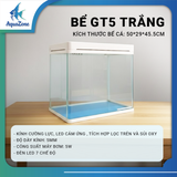 Combo Bể Cá YEE/Nepall/Cherlam – Hồ Kính Mini Kèm Lọc Bên, Kính Siêu Trắng, Tự Lọc Tuần Hoàn, Hệ Sinh Thái Mới Cho Bể Cá
