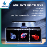 Combo Bể Cá YEE/Nepall/Cherlam – Hồ Kính Mini Kèm Lọc Bên, Kính Siêu Trắng, Tự Lọc Tuần Hoàn, Hệ Sinh Thái Mới Cho Bể Cá