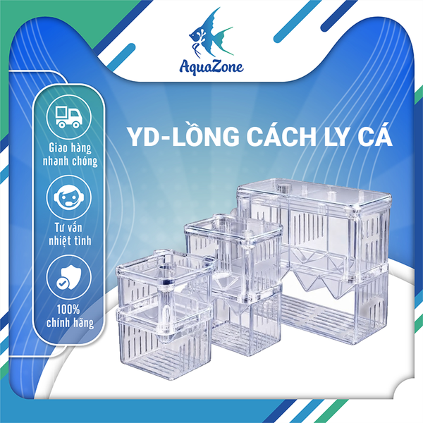 YD-LỒNG CÁCH LY CÁ AquaZone YD lồng tách cá trong suốt cho bể cá
