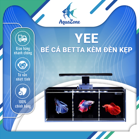 Combo Bể Cá YEE/Nepall/Cherlam – Hồ Kính Mini Kèm Lọc Bên, Kính Siêu Trắng, Tự Lọc Tuần Hoàn, Hệ Sinh Thái Mới Cho Bể Cá
