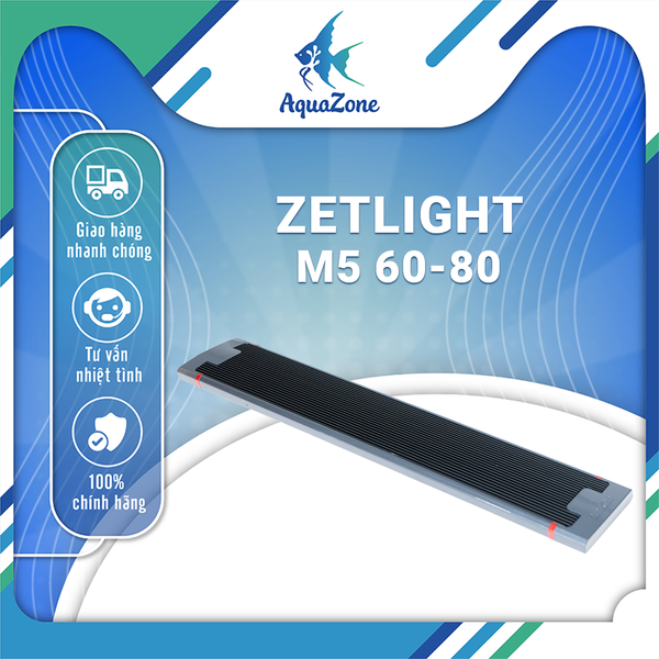 ZETLIGHT-ĐÈN M5